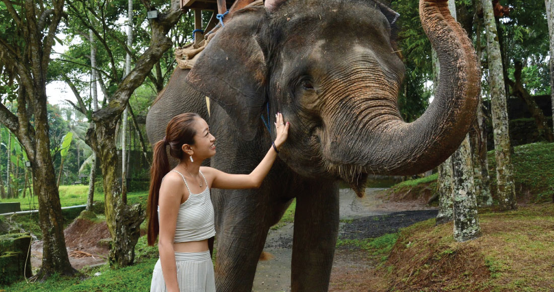 象との触れ合いも貴重な体験です