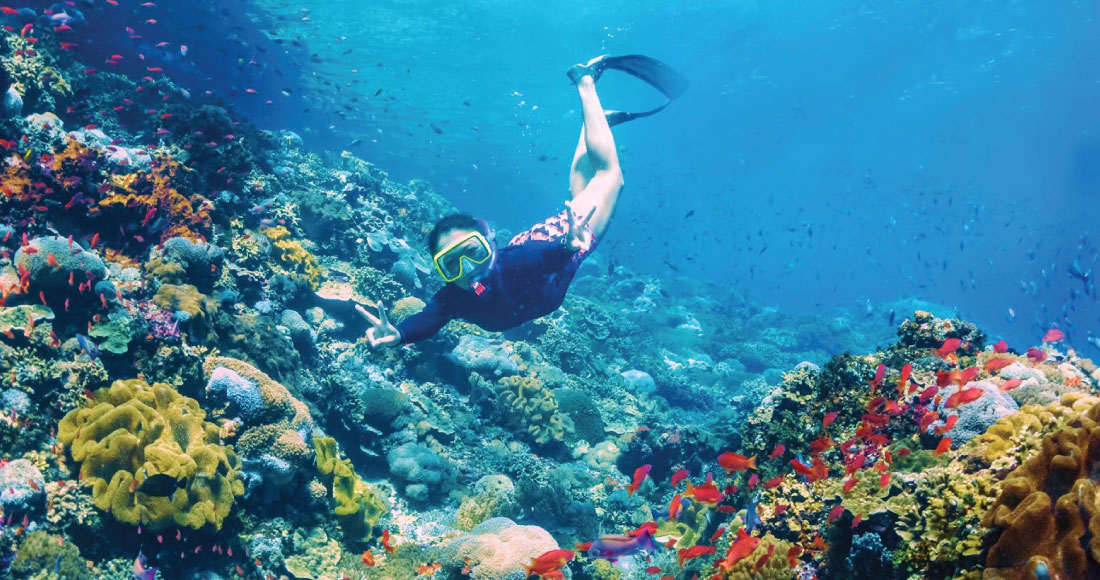カラフルな熱帯魚が舞い泳ぐ珊瑚の海の美しさに感動！
