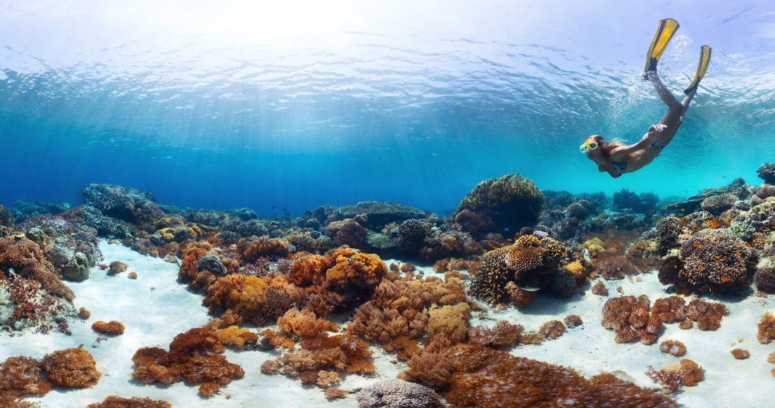 バリ島の透明な海でシュノーケリング