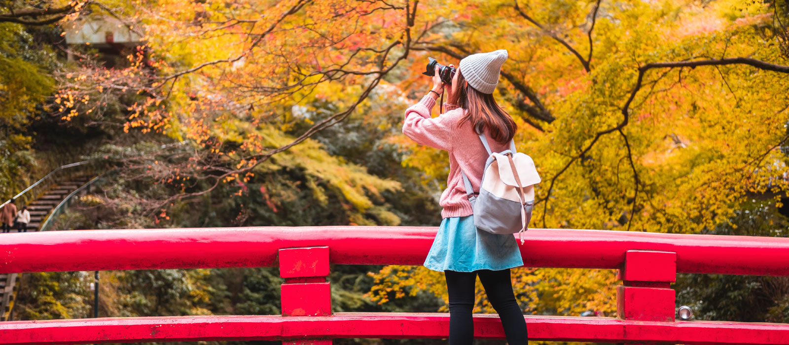 Take a photo of autumn japan
