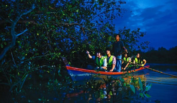 マレーシア屈指のホタル観賞スポット：セランゴール川