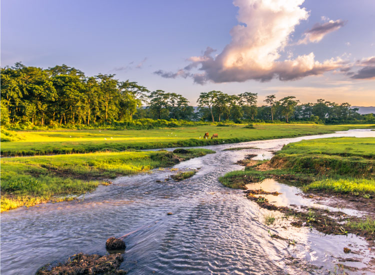 風光明媚な亜熱帯気候の風景がひろがるチトワン国立公園