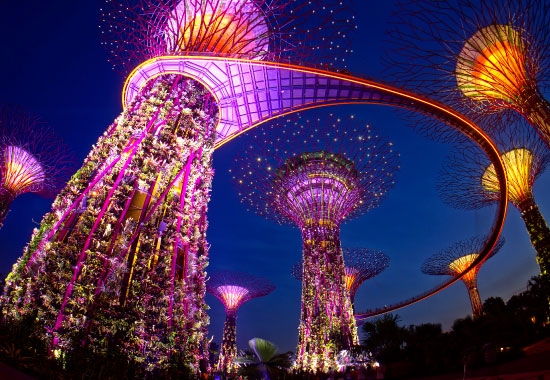 シンガポールの夜景 スーパーツリー