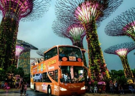 シンガポール 夜景2階建てオープンバス