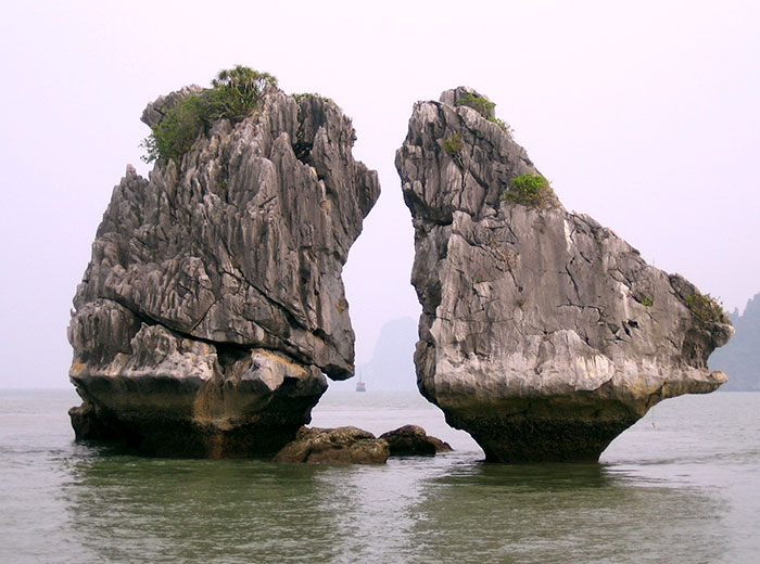 ハロン湾で特に有名な闘鳥岩